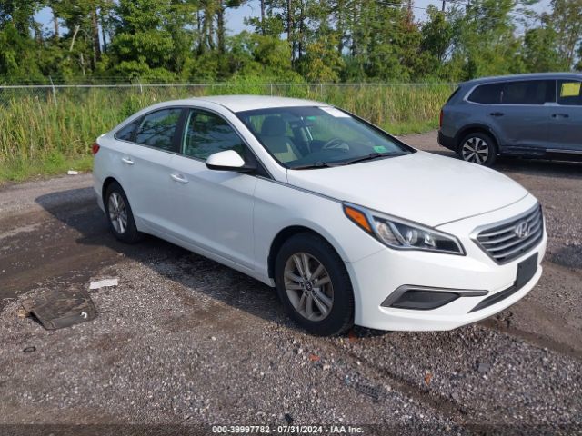 HYUNDAI SONATA 2017 5npe24af3hh534845