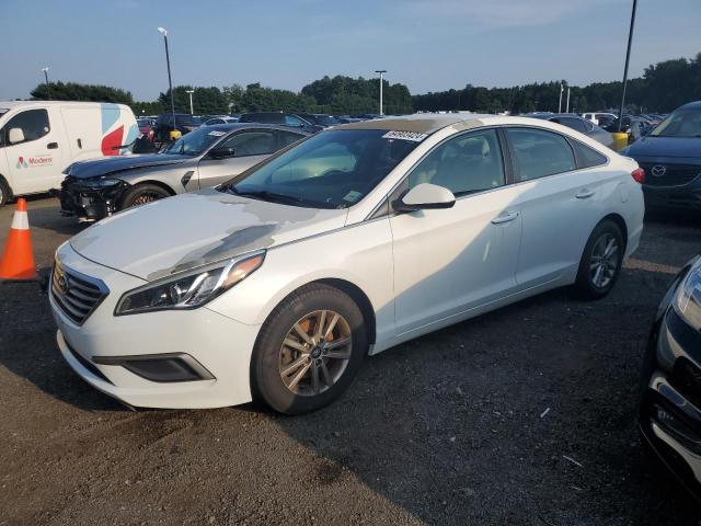 HYUNDAI SONATA 2017 5npe24af3hh538037