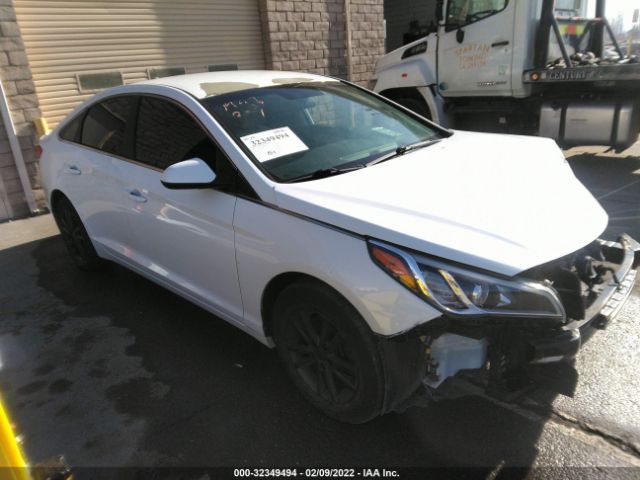 HYUNDAI SONATA 2017 5npe24af3hh539754