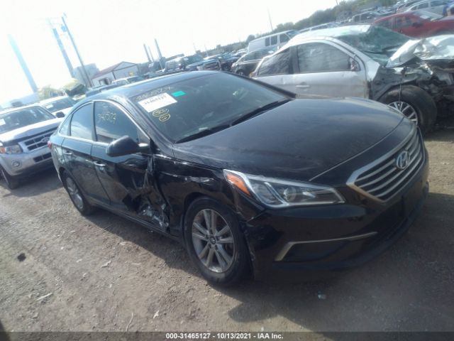 HYUNDAI SONATA 2017 5npe24af3hh544372