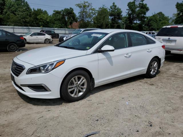 HYUNDAI SONATA 2017 5npe24af3hh558031