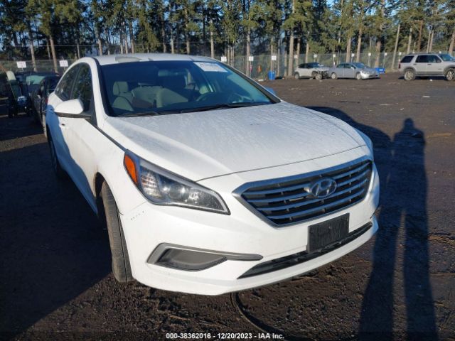 HYUNDAI SONATA 2017 5npe24af3hh563200