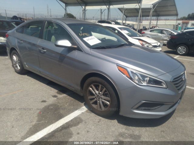 HYUNDAI SONATA 2017 5npe24af3hh565304