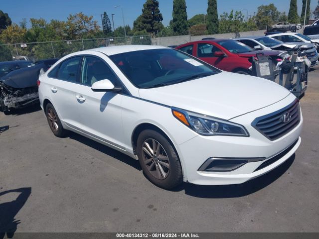 HYUNDAI SONATA 2017 5npe24af3hh566727