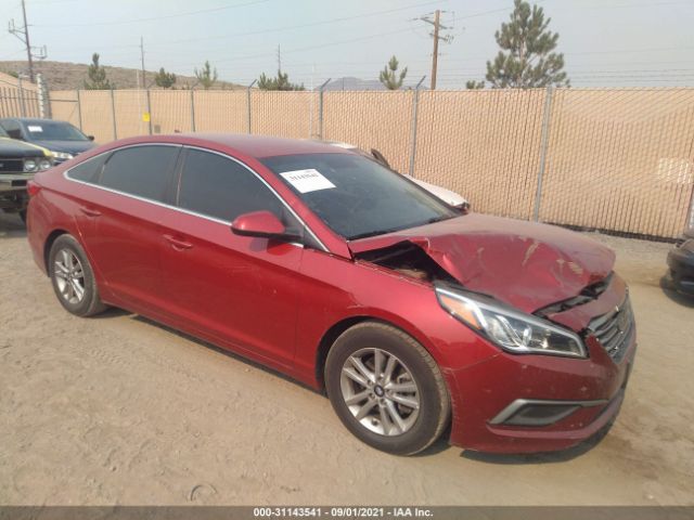 HYUNDAI SONATA 2017 5npe24af3hh575217