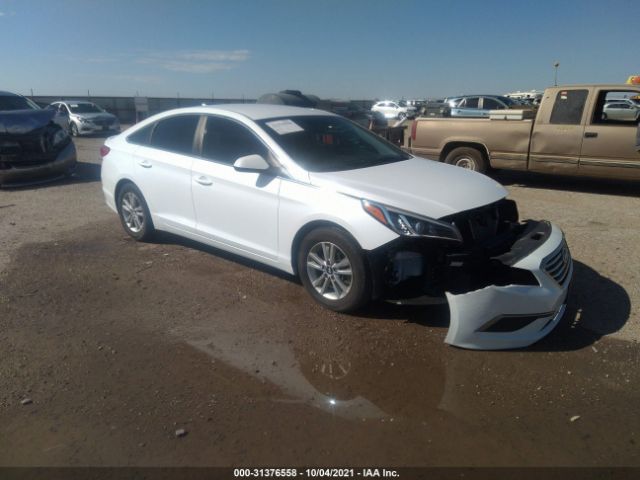 HYUNDAI SONATA 2017 5npe24af3hh578358