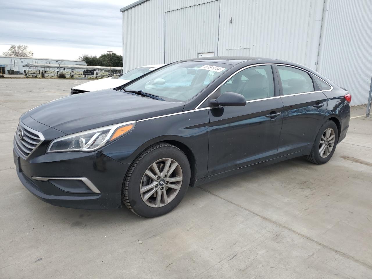 HYUNDAI SONATA 2017 5npe24af3hh582314