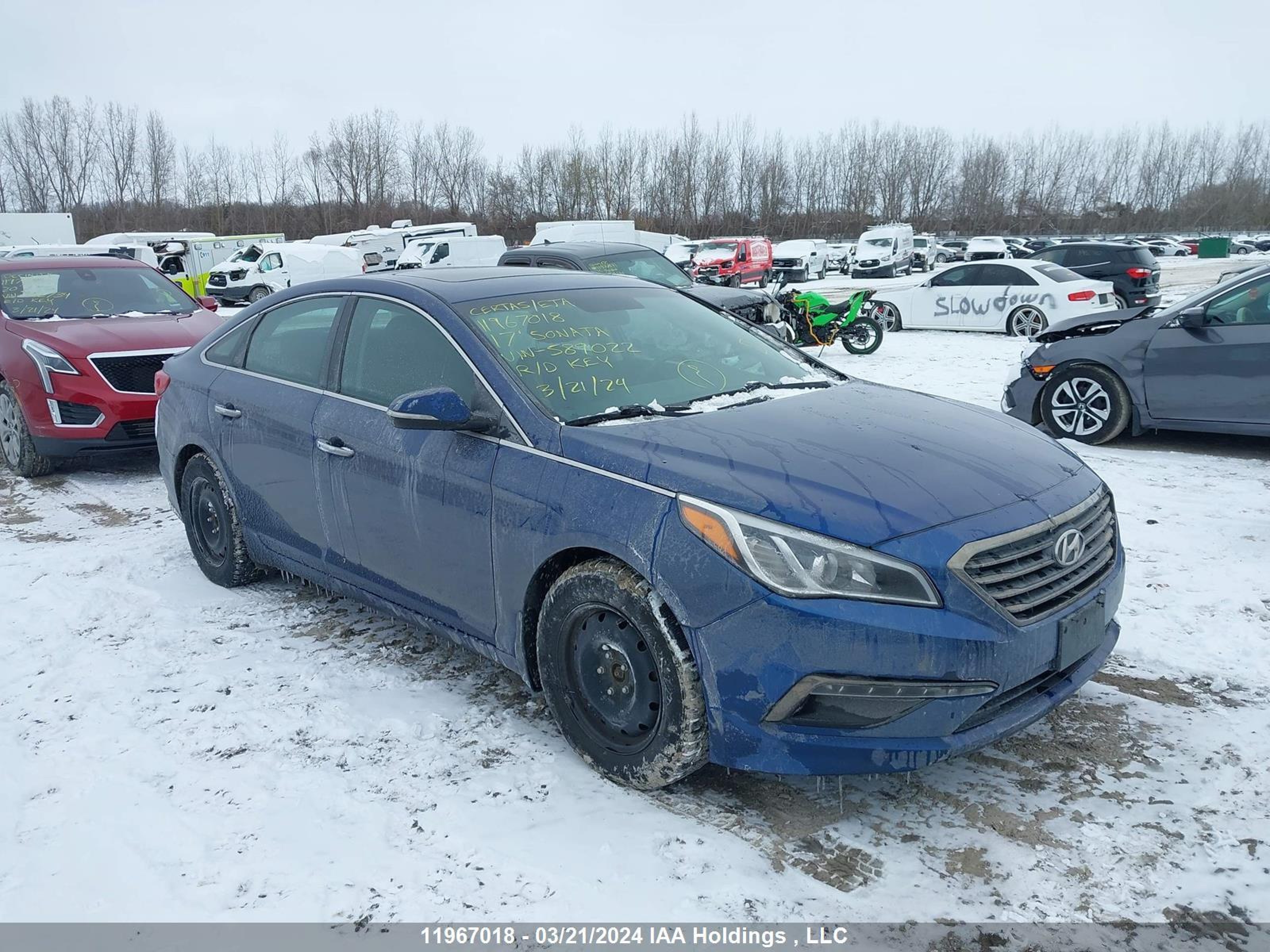 HYUNDAI SONATA 2017 5npe24af3hh589022