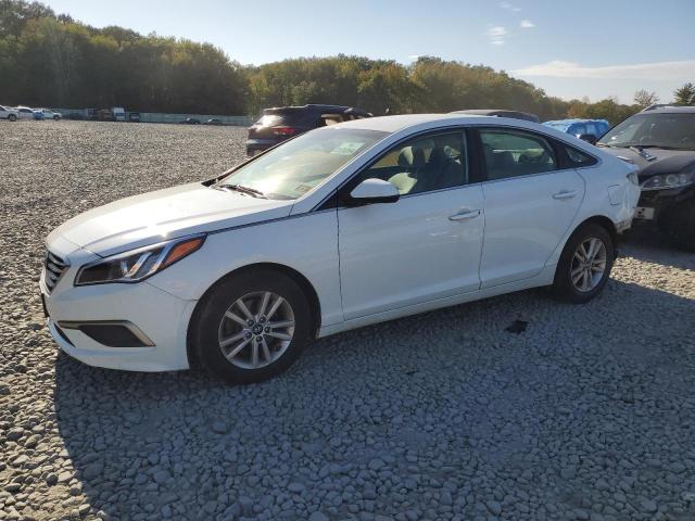 HYUNDAI SONATA 2017 5npe24af3hh596164