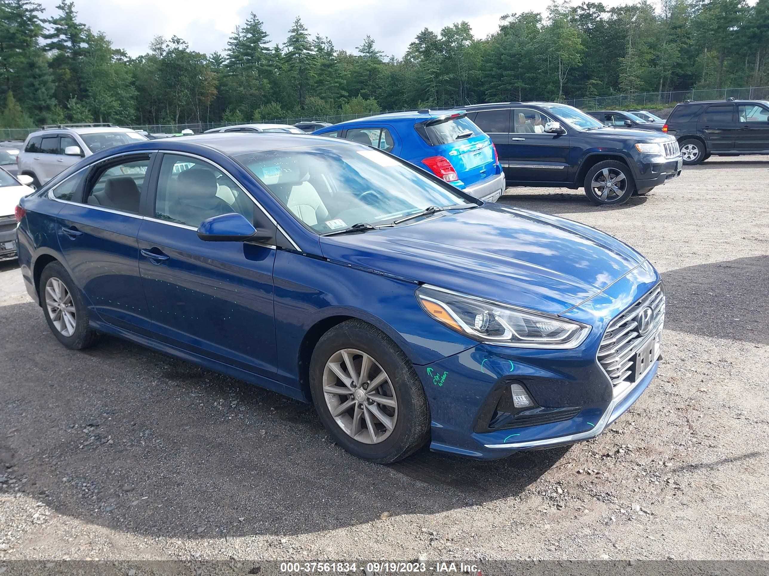 HYUNDAI SONATA 2018 5npe24af3jh605872