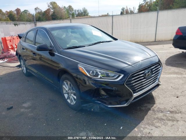 HYUNDAI SONATA 2018 5npe24af3jh705048