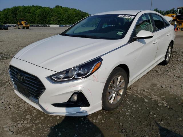 HYUNDAI SONATA SE 2018 5npe24af3jh709939