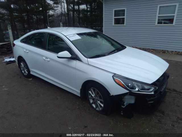 HYUNDAI SONATA 2018 5npe24af3jh714333