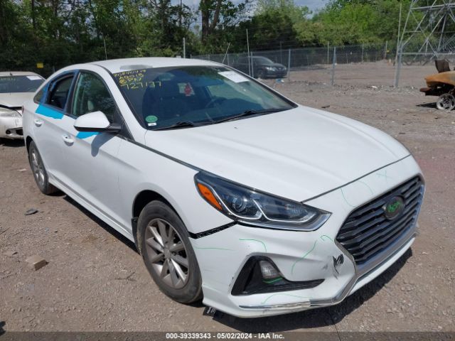 HYUNDAI SONATA 2018 5npe24af3jh727177