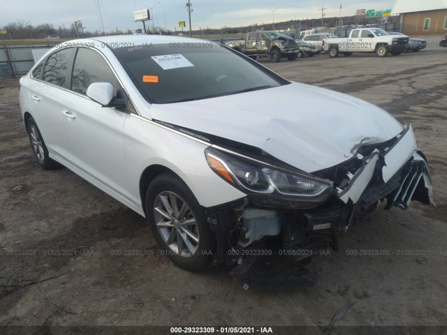 HYUNDAI SONATA 2019 5npe24af3kh730419