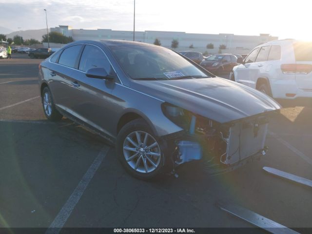 HYUNDAI SONATA 2019 5npe24af3kh734681