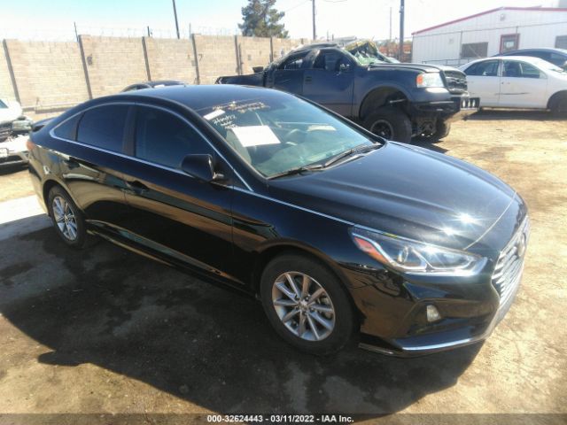 HYUNDAI SONATA 2019 5npe24af3kh741050