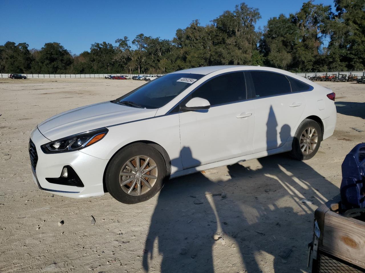 HYUNDAI SONATA 2019 5npe24af3kh741887