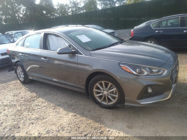 HYUNDAI SONATA 2019 5npe24af3kh742120