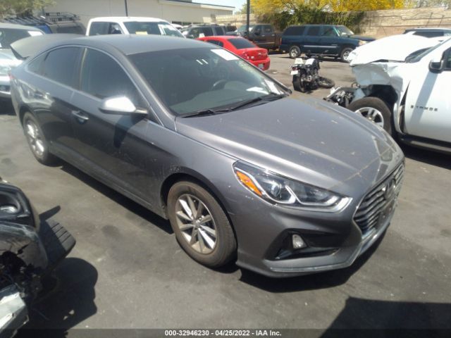 HYUNDAI SONATA 2019 5npe24af3kh744255