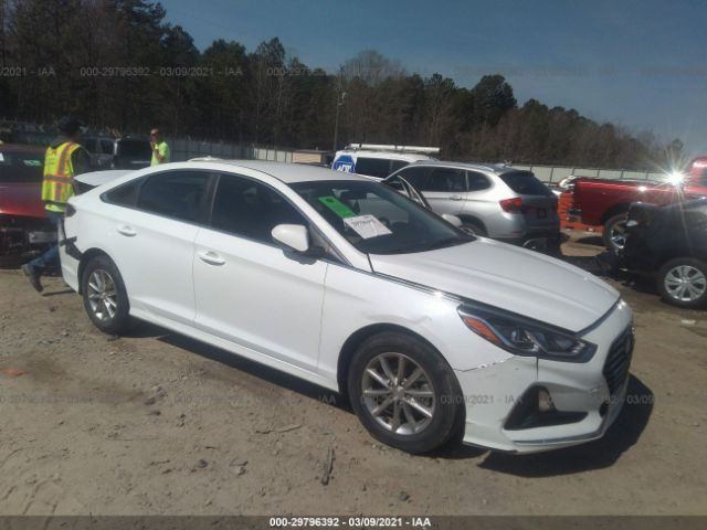 HYUNDAI SONATA 2019 5npe24af3kh744482