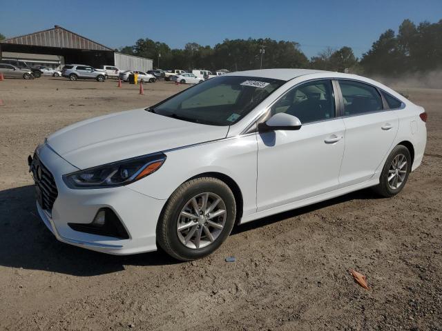 HYUNDAI SONATA 2019 5npe24af3kh744871