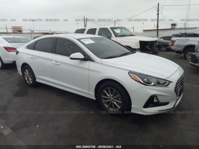 HYUNDAI SONATA 2019 5npe24af3kh745843