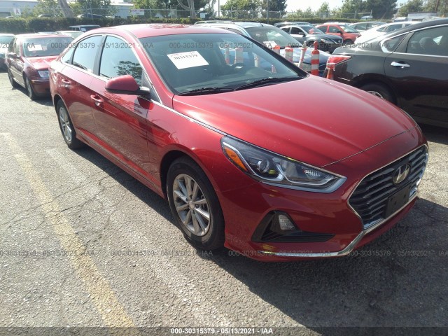 HYUNDAI SONATA 2019 5npe24af3kh747723