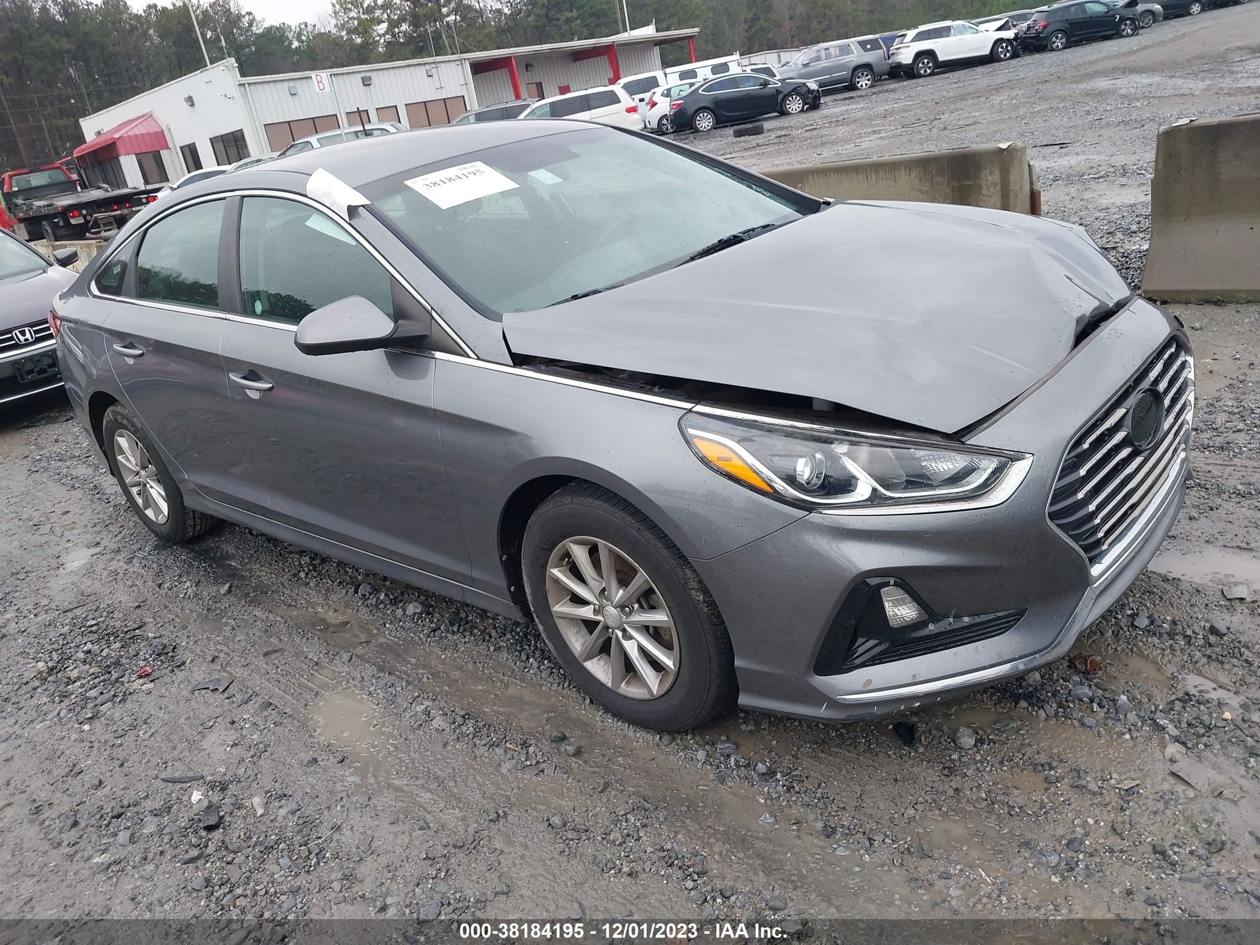 HYUNDAI SONATA 2019 5npe24af3kh749424