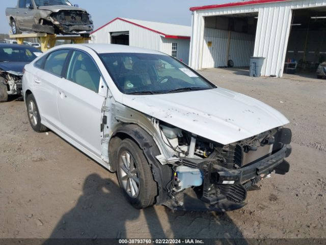 HYUNDAI SONATA 2019 5npe24af3kh751027