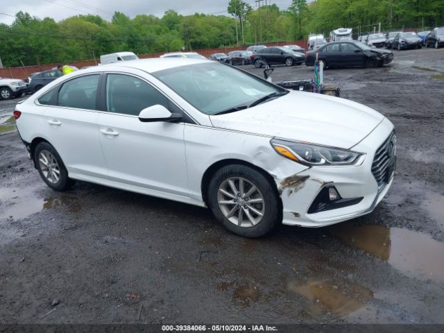 HYUNDAI SONATA 2019 5npe24af3kh752744