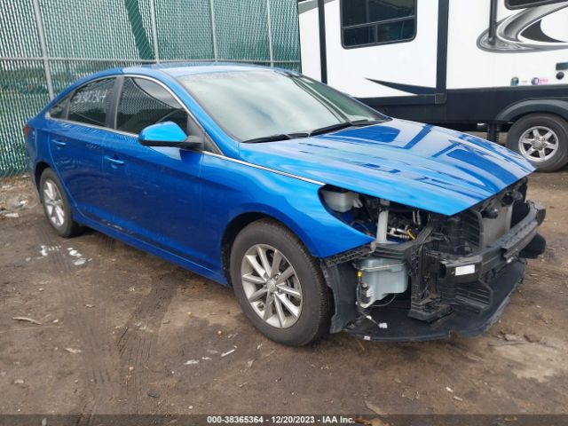 HYUNDAI SONATA 2019 5npe24af3kh754994