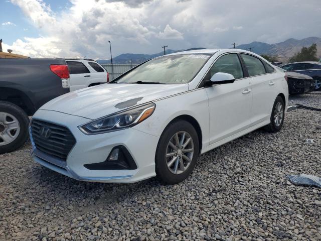 HYUNDAI SONATA SE 2019 5npe24af3kh755496