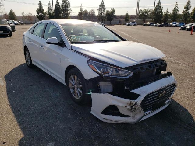 HYUNDAI SONATA SE 2019 5npe24af3kh755868