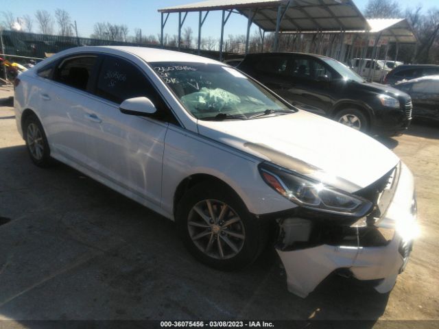 HYUNDAI SONATA 2019 5npe24af3kh757118