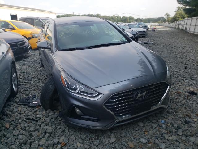 HYUNDAI SONATA SE 2019 5npe24af3kh758155