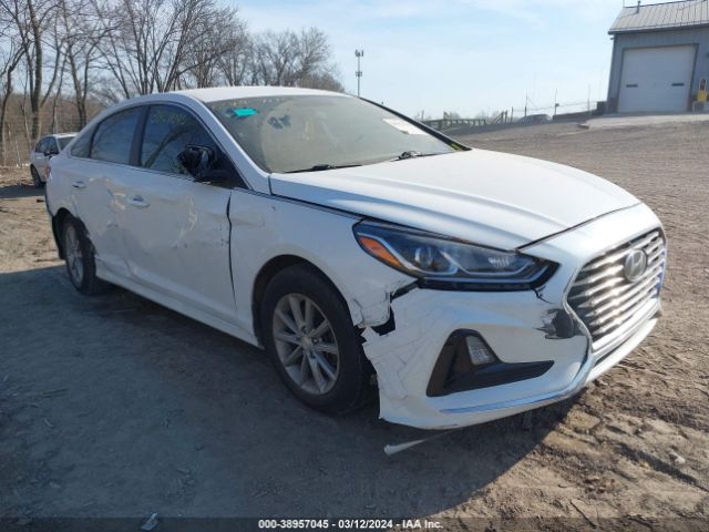 HYUNDAI SONATA 2019 5npe24af3kh759113