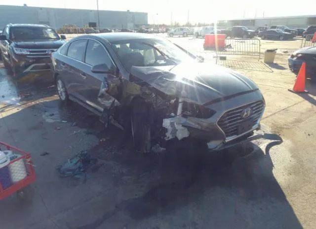 HYUNDAI SONATA 2019 5npe24af3kh762688