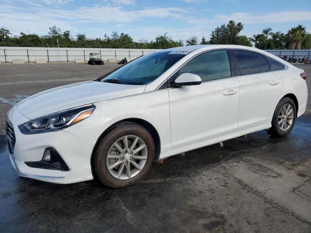 HYUNDAI SONATA 2019 5npe24af3kh764070