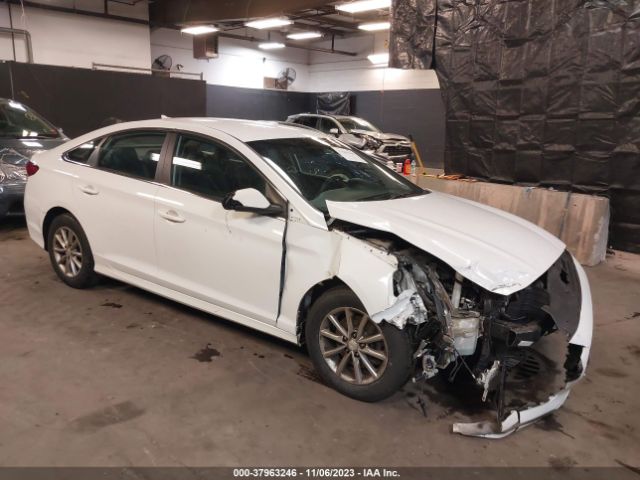 HYUNDAI SONATA 2019 5npe24af3kh766370