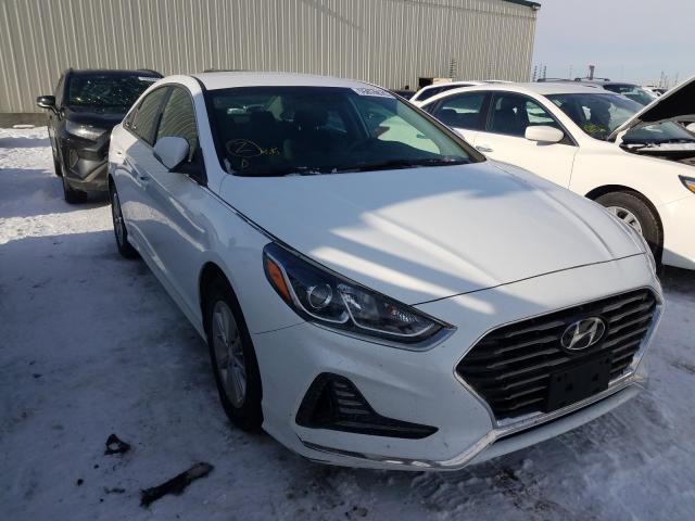 HYUNDAI SONATA SE 2019 5npe24af3kh769012