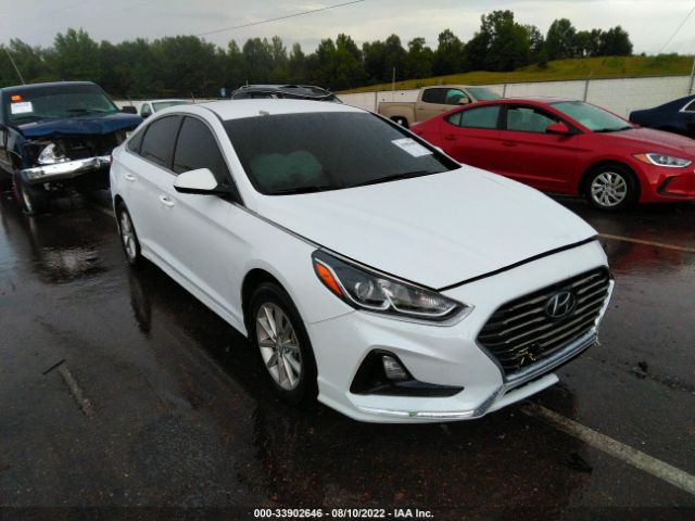 HYUNDAI SONATA 2019 5npe24af3kh769138