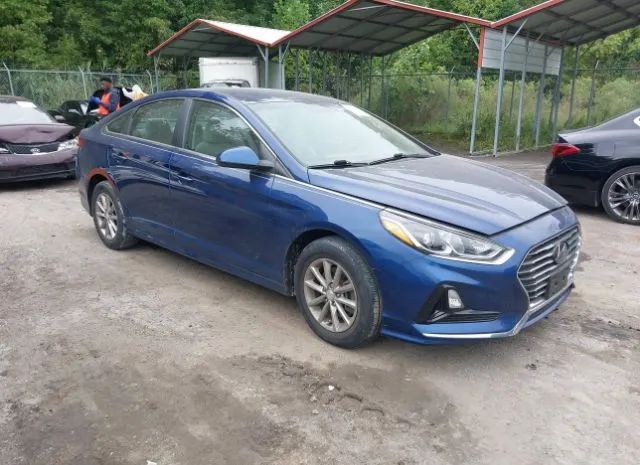 HYUNDAI SONATA 2019 5npe24af3kh772153