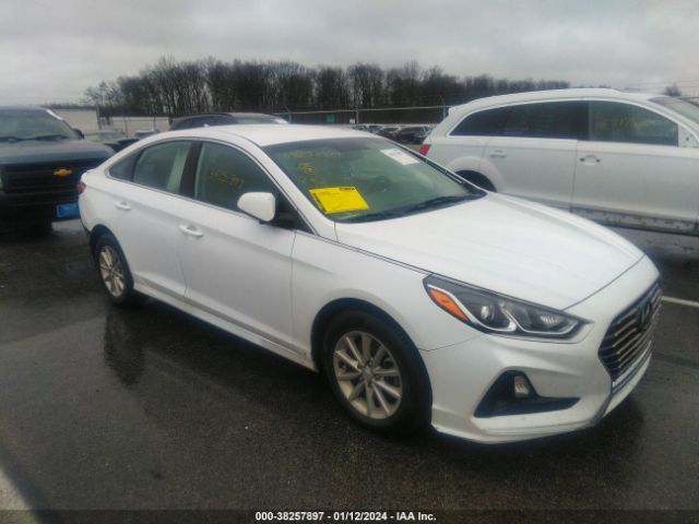 HYUNDAI SONATA 2019 5npe24af3kh772797