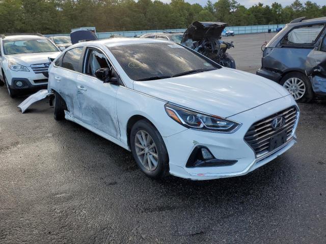 HYUNDAI SONATA SE 2019 5npe24af3kh774730