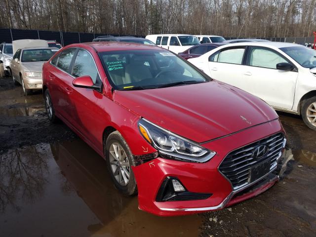 HYUNDAI SONATA SE 2019 5npe24af3kh774906