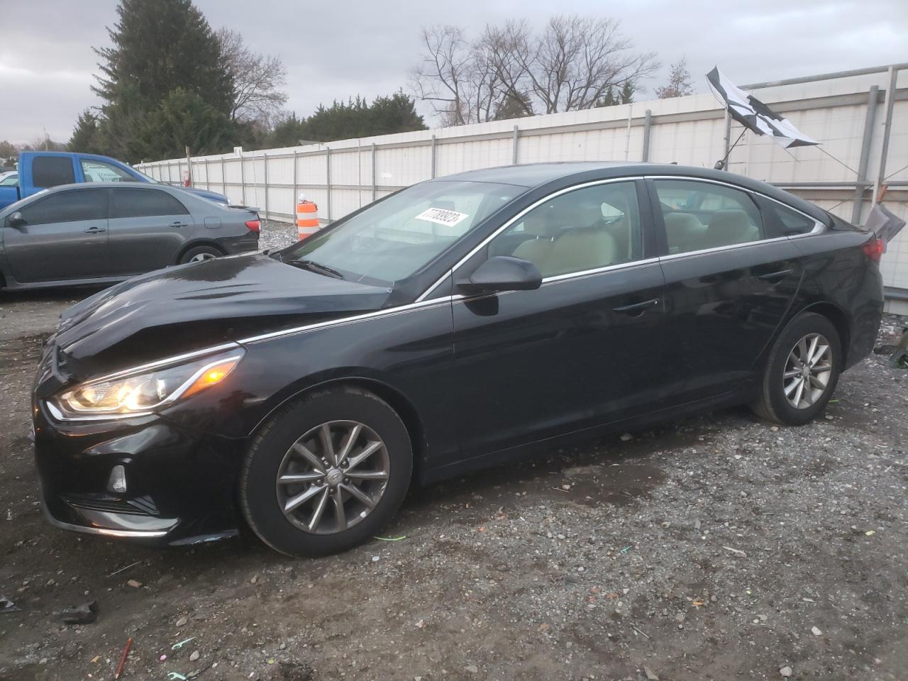 HYUNDAI SONATA 2019 5npe24af3kh781306