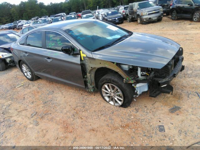 HYUNDAI SONATA 2019 5npe24af3kh784688