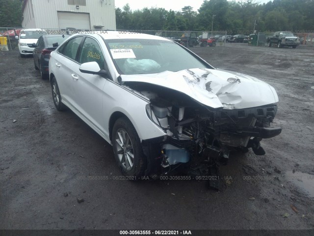 HYUNDAI SONATA 2019 5npe24af3kh787722