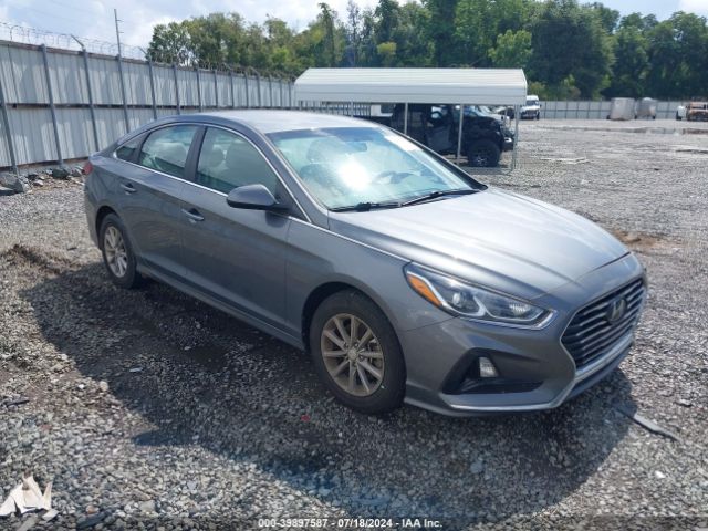 HYUNDAI SONATA 2019 5npe24af3kh790118